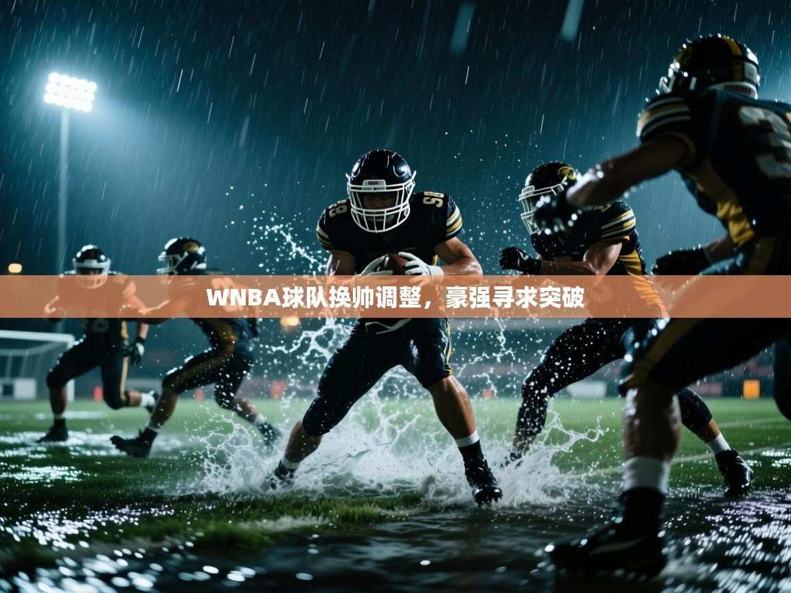 WNBA球队换帅调整，豪强寻求突破  第1张