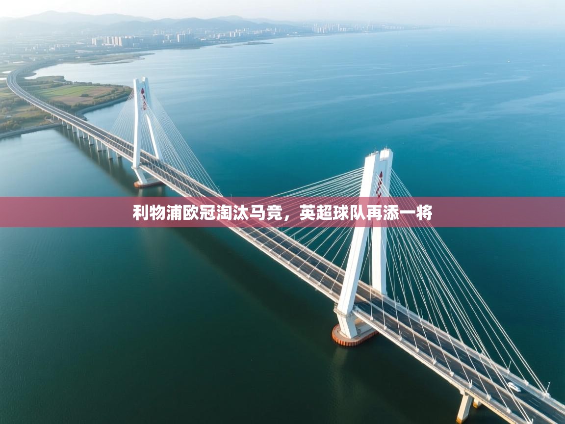 利物浦欧冠淘汰马竞，英超球队再添一将